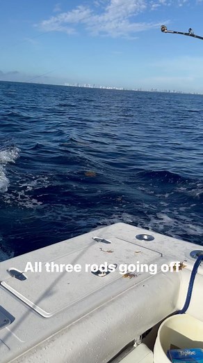 2.1K views | Mahi season is here don’t forget to book your trip floridaadventureoutfitter.com #Fishing #SouthFlorida #FortLauderdaleBeach #Pompano,Beach #Miami,Beach #HollywoodBeachFlorida #DaniaBeach #SouthFlorida #Florida #PortEverglades, #CarnivalCruiseLines #NorwegianCruiseLines #RoyalCaribbean #NCL #GoingOnACruise #CruiseShip #BachelorParty #Mahi #Marlin | Florida Outdoors Company | Facebook