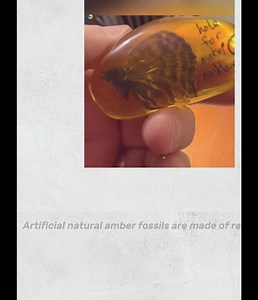 Amber Fossil Insect, 5Pcs Artificial Amber Fossil with Insect Specimen - Pendant Amber Stone Ornament for Collection,Science