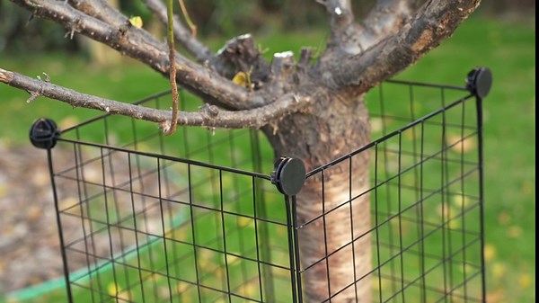 9 Pack 18.5'' x 12'' Large Wire Plant Protectors from Animals Easy to Install Chicken Wire Plant Cages to Keep Rabbits Deers Squirrels Out, Garden Protection Bunny Barricade