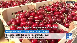 Primele cireşe au apărut în pieţele din Capitală. Preţurile sunt ASTRONOMICE http://bit.ly/2q2uUwe | Newtv.md