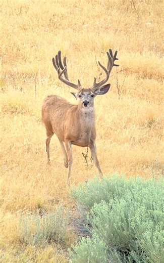 spenceradams203 on TikTok