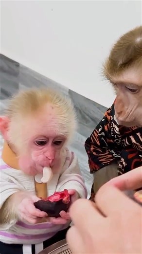 34K views · 1.1K reactions | Family Kaka Went to Visit Kaka and Mit, But They didn't Let Them Record Videos Or Take Photos​ #Kaka | Kaka Page | Facebook