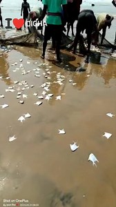 2.7M views · 10K reactions | #দীঘা #জেলেদের_মৎস্য_শিকার• #FacebookPage #dighadiaries #Dighatour #PurbaMedinipur #Digha #tourism | Digha.com-দীঘা.কম | Facebook