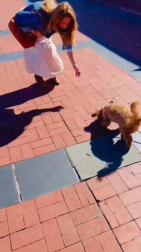 Little Loves Maltipoos on Reels