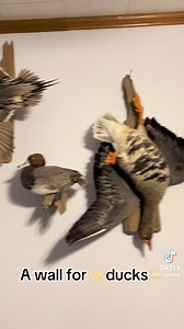 2.3K views | What parish you in? | Louisiana Hot Topics | Facebook