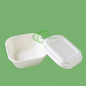 [Hot Item] Ecofriendly Biodegradable Sugarcane Bagasse Lunch Box Biodegradable Box Custom Printed Paper Box