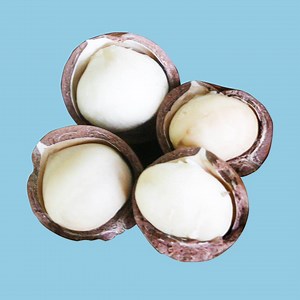 Why macadamia nuts are so expensive. | Insider News