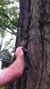 218K views · 2.1K reactions | Catch and release... in reverse... | ViralHog | Facebook