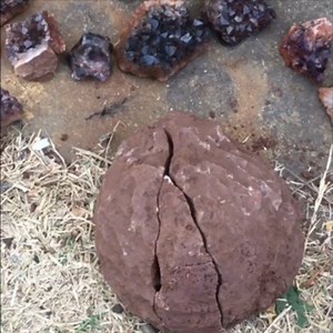 Here is a Before Cleaning Video Of An amazing as Discovered Full Geode Of Smoky Amethyst Quartz Crystals From the Northern Territory Outback That @downunderprospectoress had the exciting good Fortune to Whilst we were Prospecting there Recently, Originaly the Geode was Formed and Contained in Basaltic Flows and over the Millennia much of the Basalt has eroded away leaving the Silica filled gas Bubbles Behind many are broken and oxidised but occasionally you can find like this, Full But Broken in
