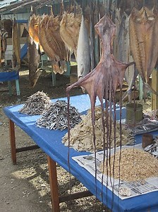Where does dried fish come from? [2025] | QAQooking.wiki