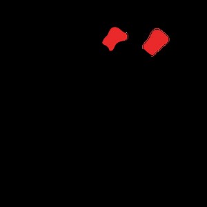 Boxeo Resultados, Noticias