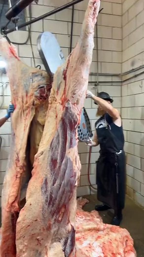 Splitting a beef in half 🔪🥩 #reelsinstagram #reels #reelsviral #reelsvideo #video #viral #trending #foryou #f | Bartendeer