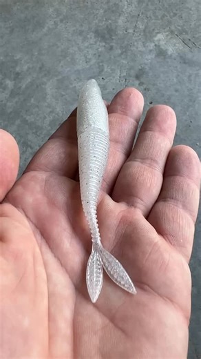 The 5” Rattle Shad is here, and check out this awesome new design from GRANDEBASS‼️ So many awesome ways to rig this one! 🔥🔥 . . #Monsterbass #Grandebass #fishbetter #thebetterbox #bassfishing #largemouth #smallmouth #fishing #fishinggear #fishinglures #kayakfishing #angler #bassboat #lakes #pondfishing #catchandrelease #fishingislife #outdoors #fishingtackle #largemouthbass #smallmouthbass #spottedbass #bankfishing | MONSTERBASS