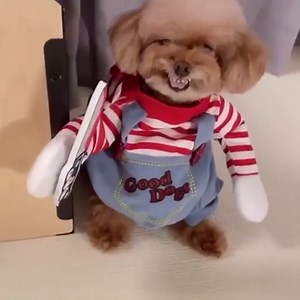 Pet Deadly Doll Dog Costume Chucky Dog Costume Halloween Dog Costume Scary Dog Costume with Arms Christmas Cosplay Dog Outfit for Small Medium Large Dogs (Large, Dog Costume)