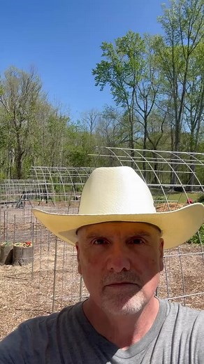 1.9K views · 61 reactions | Cheap sturdy Garden Trellis #gardening #farmlife #homestead #gardentips Tractor Supply Co. | PawPaw Ridge Homestead | Facebook