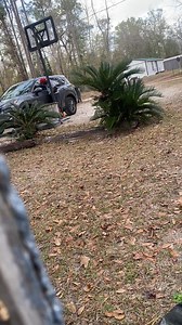 40K views · 755 reactions | DODO TO FAST..藍藍藍 #viralreelschallenge #fypppp #loveyou @highlight Tawanna Gay Funny Or Die | Clifford Gay | Facebook