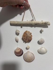 Handcrafted Natural Shell Wall Hanging - Etsy Australia