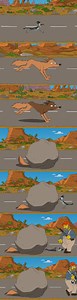 Road Runner Coyote Falls