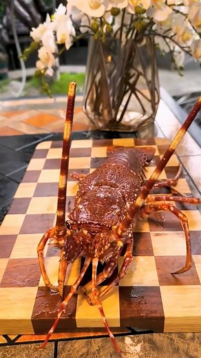 I cook the big crab and this is the best recipe Countryside food #cooking #cookingram #cookingtime #cookingclass #cookingvideo #cookingatHome #cookingwithlove #cookingschool #cookingmama #food #foodporn #foodie #foodstagram #foodgasm #foodblogger #foodpics #foodphotography #foodlover #foodpic #foodies #foods #foodblog #foodgram #Delicious #deliciousfood #deliciousness #foryou #viralreelsfbpage #steakhouse #steakdinner #viralreelsfbpage | Countryside Foods Page