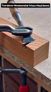 8.6K views · 11 reactions | Two Clever Woodworking Tricks: Plug & Dowel | mini vlogs | Facebook