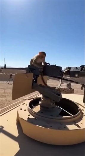 Monkey Operates Machine Gun on Military Vehicle! 🐒💥 #MonkeyOnGun #WildEncounter