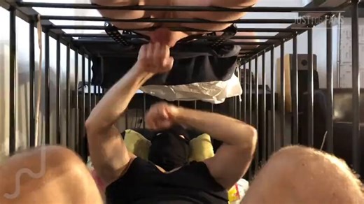 **************** Creator partner => @servilejerome ____________________Ballbusting Pack https://t.co/gWQ6GfxZE1