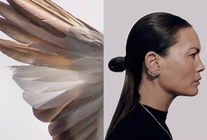 The flutter that your ears wanted to hear 諾 The Zircon wing-shaped...