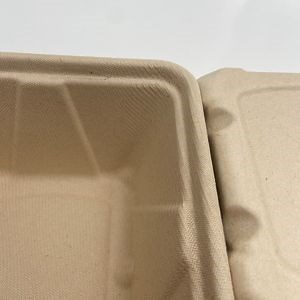 [Hot Item] Bagasse Mushroom Packaging Tray Water and Oil Proof Sugarcane Vegetable Packaging Tray