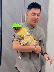 Monkey Kaka and Diem hugged and kissed mom after many days of separation #Kaka #FamilyKaka | Kaka Page