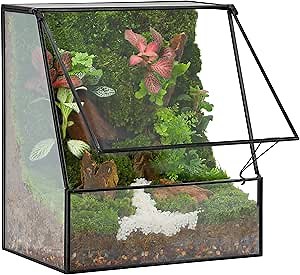 REDHUGO Large Glass Planter Terrariums with Door, Handmade Glass Greenhouse Indoor Geometric Planter Terrarium Tabletop Centerpiece Display Box for Moss, Succulent, Trapezoid, Black (Terrarium ONLY)