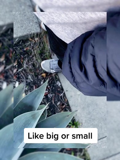 #knife #knives #foldingknife #bigknife #smallknife #knifelife #everydaycarry #outdoors #knifecrossbow #foryou #fyp