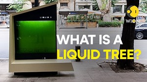 18 reactions | #WIONOriginal | Serbian scientist Dr Ivan Spasojevic has developed an innovative biotechnological tool 'Liquid Tree' to combat urban air pollution. The concept involves a tank filled with water & microalgae that can absorb CO₂ & release O₂. | WION | Facebook