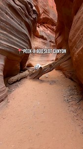 59K views · 3.9K reactions | One of favorite hikes near Kanab, UT was Peek-A-Boo Slot Canyon. It was a bumpy ride on a very sandy road to get there, but so worth the visit! ❤️ #hikingadventures #hikingwithdogs #doglife #samoyed | Coconut Rice Bear | Facebook