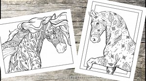 🐴Do you know a horse lover who is obsessed with everything HORSES? 🐎❤️❤️❤️ 🐴The perfect time to get the updated Amazing Horses Coloring Book! Grab Here: https://geni.us/Amazinghorses | Adult Coloring Books By Cindy Elsharouni