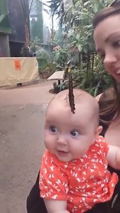 7M views · 601K reactions | Time for a social media timeline reset in crazy 2020. Sweet baby girl with butterflies on her shirt & one on her head  Theo Shantonas | Chris Suchan Meteorologist | Facebook