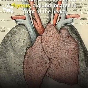 1K views · 23 shares | Lack of exercise can shrink your brain... | BackJoy | Facebook