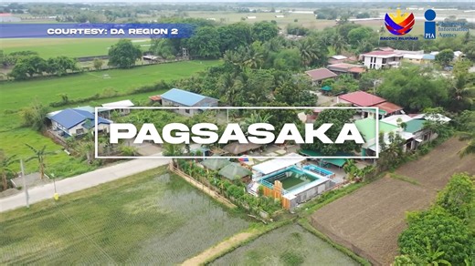ULAT BAYAN SA LAMBAK CAGAYAN Gaano nga ba kahalaga ang pagsasaka sa ekonomiya ng rehiyon dos? Ano na nga ba ang mga pagbabago sa mga pamamaraan ng pagsasaka? Ano na ang mga naipamahaging tulong ng pamahalaan, partikular ang Department of Agriculture Region 2, sa mga magsasaka na itinuturing nating mga bayani. Panoorin ang ulat ng Kagawaran ng Pagsasaka sa Rehiyon Dos sa mga pagbabago sa larangan ng pagsasaka sa Lambak Cagayan. #daregion2 #departmentofagriculture | PIA Cagayan Valley