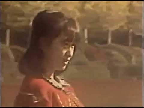 すみれの気持ち TRY ME AGAIN / 森口博子