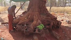 140K views · 22 reactions | GPC Health on Reels | Facebook