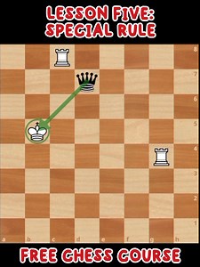 6.3K views · 166 reactions | Lesson Five: Special Rule || Free Chess Course || Chess For Beginners | Chesscology | Facebook