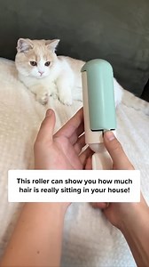 There’s always HAIR in your house😭 Comment “Roller” and I’ll DM the 🔗 to you instantly! Or simply search Easy Hair Roller on our site ✨ | Cuddles & Meow