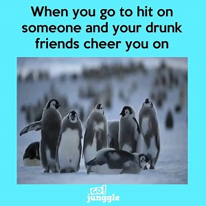 At least they have your back! | Junggle Women