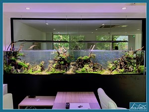 Aquarium géant 1000 Litres - Aquarilis