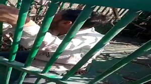 Why is a man caught in cage for leopard? It's love for chicken