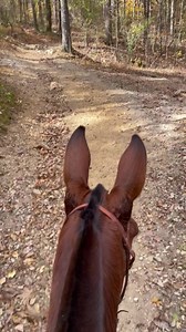 Emma camping at High Knob Shawnee | Missouri Mule Makeover/Ozark Mule Days