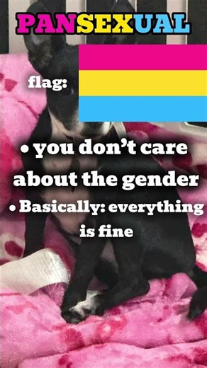 Explaining sexualities and genders❤️every sexuality is loved!🥳👊 #flags #fyp #sexuality #genders