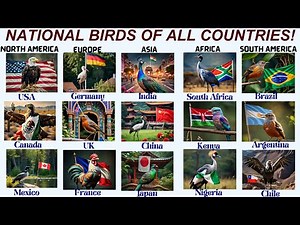 National Birds of All Countries I Flags with National Birds