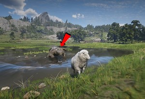 9.3K views · 54 reactions | Jaws of Death Crocodile Attacks Indian Sheep! | 102fire | Facebook