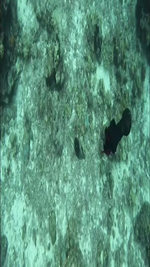 #fishing #fish #outdoors #flyfishing #nature #catchandrelease #bassfishing #fishinglife #travel #photography #ocean #trout #bass #adventure #angler #florida #beach #fisherman #tightlines #fishingislife #fishingtrip #largemouthbass #sunset #saltlife #saltwaterfishing #hunting #summer #lake #boat #troutfishing | Gina Istrate