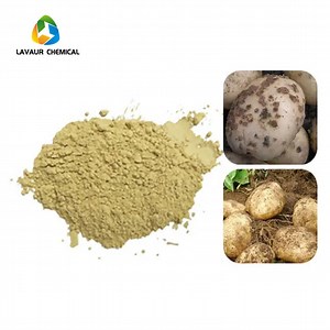 [Hot Item] Antiseptic Fungicide Dimethomorph 9%   Mancozeb 60% Wp